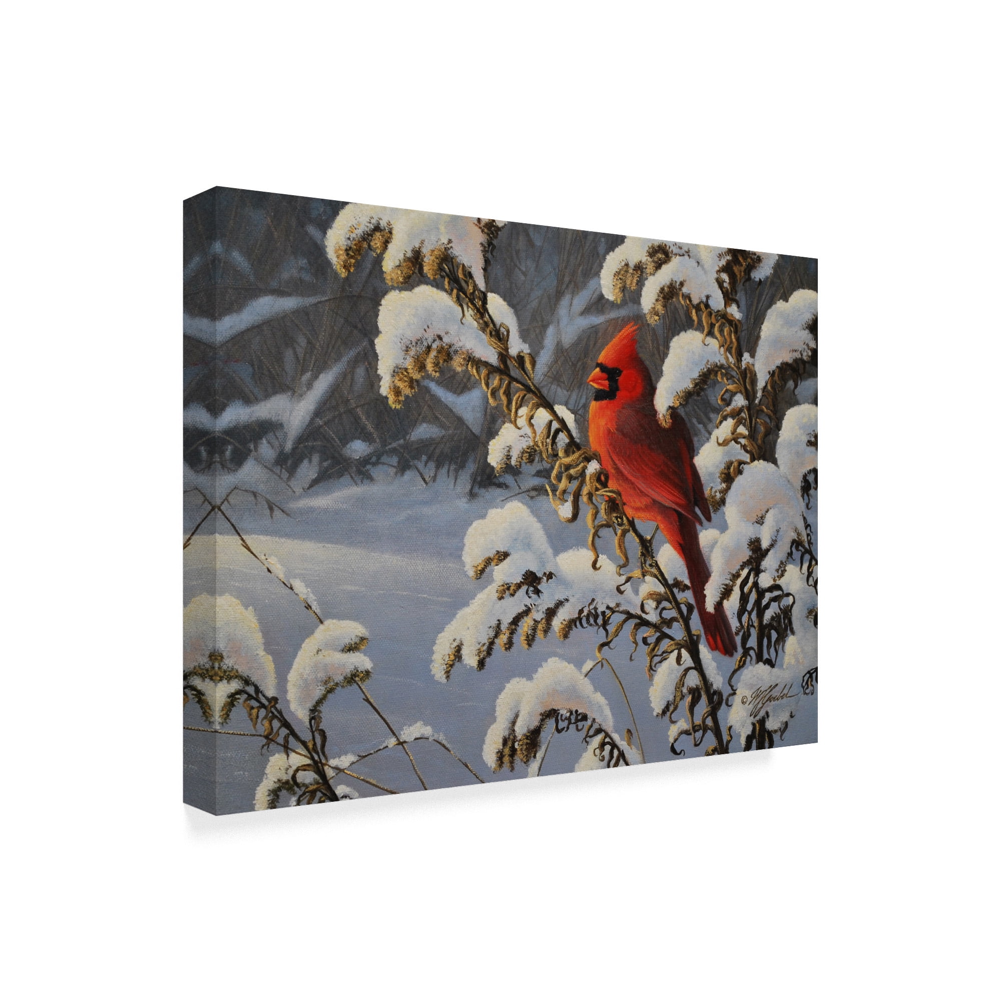 Trademark Fine Art 'Winter Red Cardinal' Canvas Art by Wilhelm Goebel