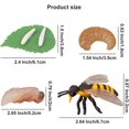 thumbnail image 3 of Figuritas de insectos ciclo de vida del escarabajo ciervo, abeja de miel, mantis, hormiga plástico Safariology Bug figuras juguete Kit, 16 Uds Namotu WRLF-332, 3 of 7