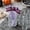 Purple, variant on Cififendec 24Pcs Halloween Disposable Paper Straws, 7.68", Witch Pumpkin Spider Skull Eyebrow BOO Pattern Drinking Straws for Party Cup Beverage Spooky Table Decor