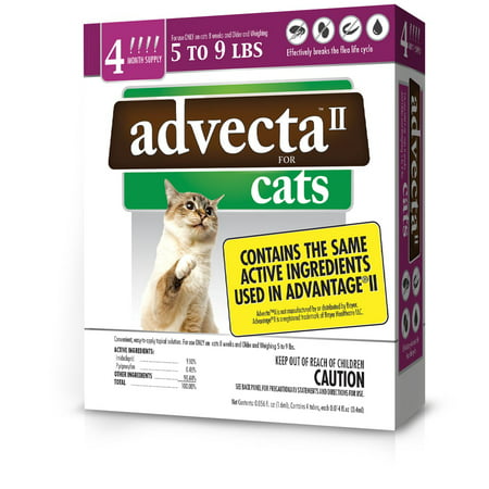 Advecta II Flea Treatment for Small Cat, 4 Monthly (Best Cheap Flea Medicine For Cats)