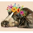 thumbnail image 2 of Jing, Jin 16x15 Gold Ornate Wood Framed with Double Matting Museum Art Print Titled - Dog With A Wreath Of Colorful Blossoms 11, 2 of 4