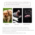 thumbnail image 4 of Special Buys! Dog Toys Pet Sucker Missing Molars Double Interactive Suction Cup Tpr Ball Ellipse Elastic Ropes Tooth Cleaning Chewing, 4 of 6