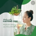 thumbnail image 2 of Pride Of India Natural Holy Basil Tea, 15 Tea Bags, 2 of 8