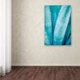 thumbnail image 3 of Trademark Fine Art 'Abstract Agava III Color' Canvas Art by Elizabeth Urquhart, 3 of 3