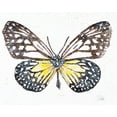 thumbnail image 2 of Pinto, Patricia 14x12 White Modern Wood Framed Museum Art Print Titled - New Butterfly, 2 of 4