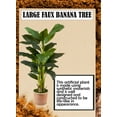 thumbnail image 6 of Serene Spaces Living Artificial Banana Tree in Pot, 16" Diameter & 65" Tall, 6 of 6