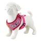 thumbnail image 5 of Pechera Arnes Ajustable Con Correa Para Perro, 5 of 8