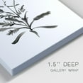 thumbnail image 3 of Inky Botanical I Premium Gallery Wrapped Canvas - Ready to Hang - Set of 2 - 40 x 60 Each, 3 of 9