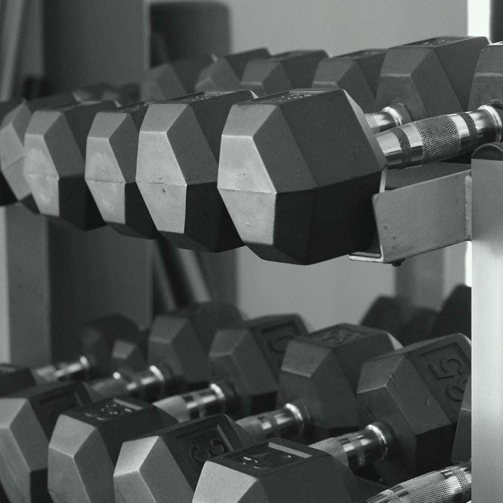 Gymenist, 8 lb Rubber Hex Dumbbells, Pair