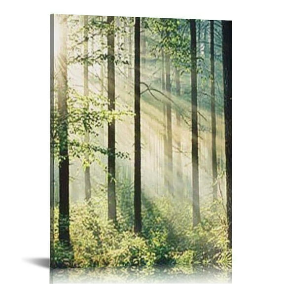 BCIIG Sunbeams Trees Forest Canvas Wall Art Home Decor 24x36 12x16 in