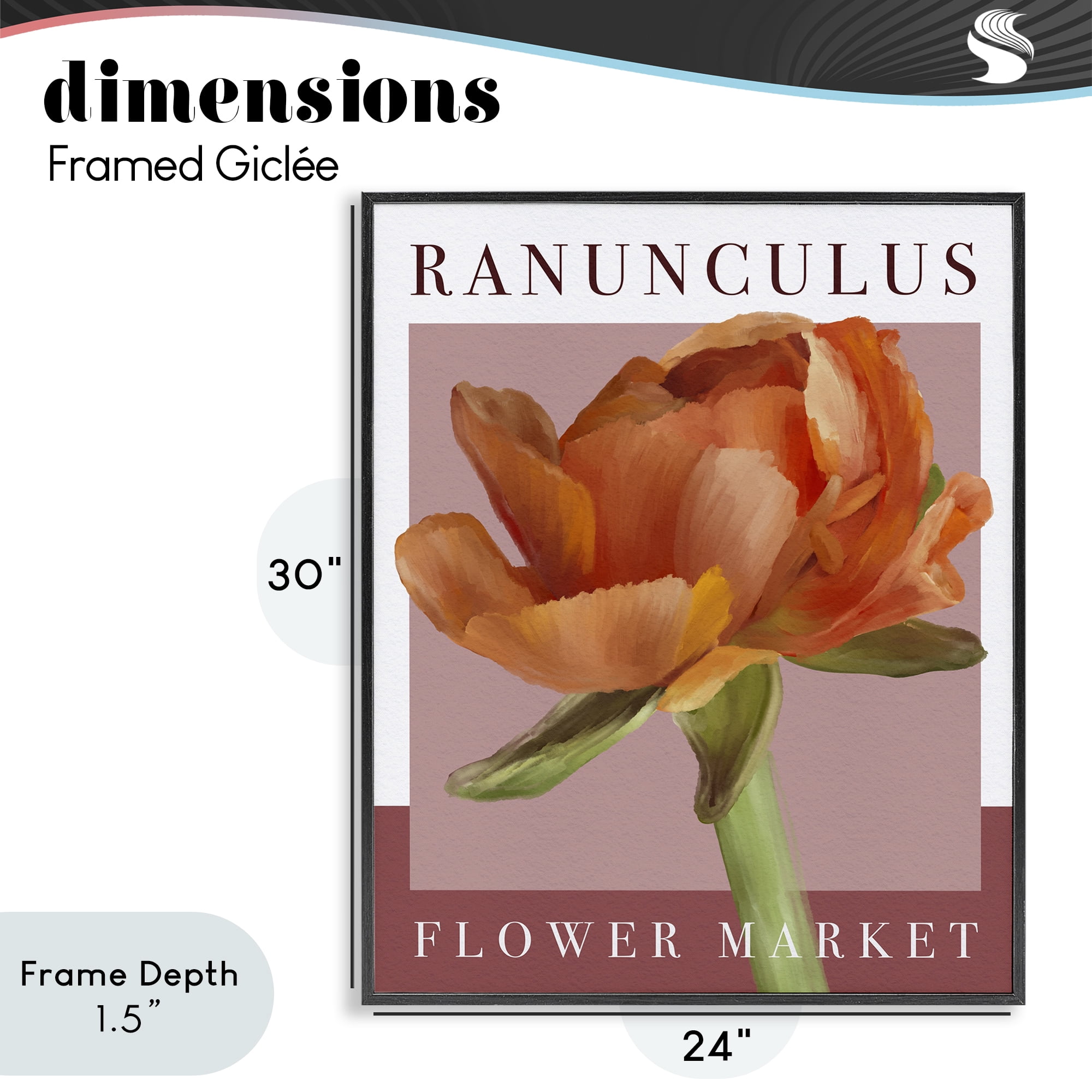 Stupell Industries Ranunculus Flower Market Black Framed Giclee Art, design by Jennifer Stith