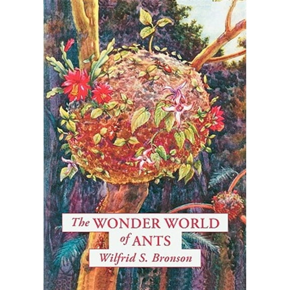 The Wonder World of Ants