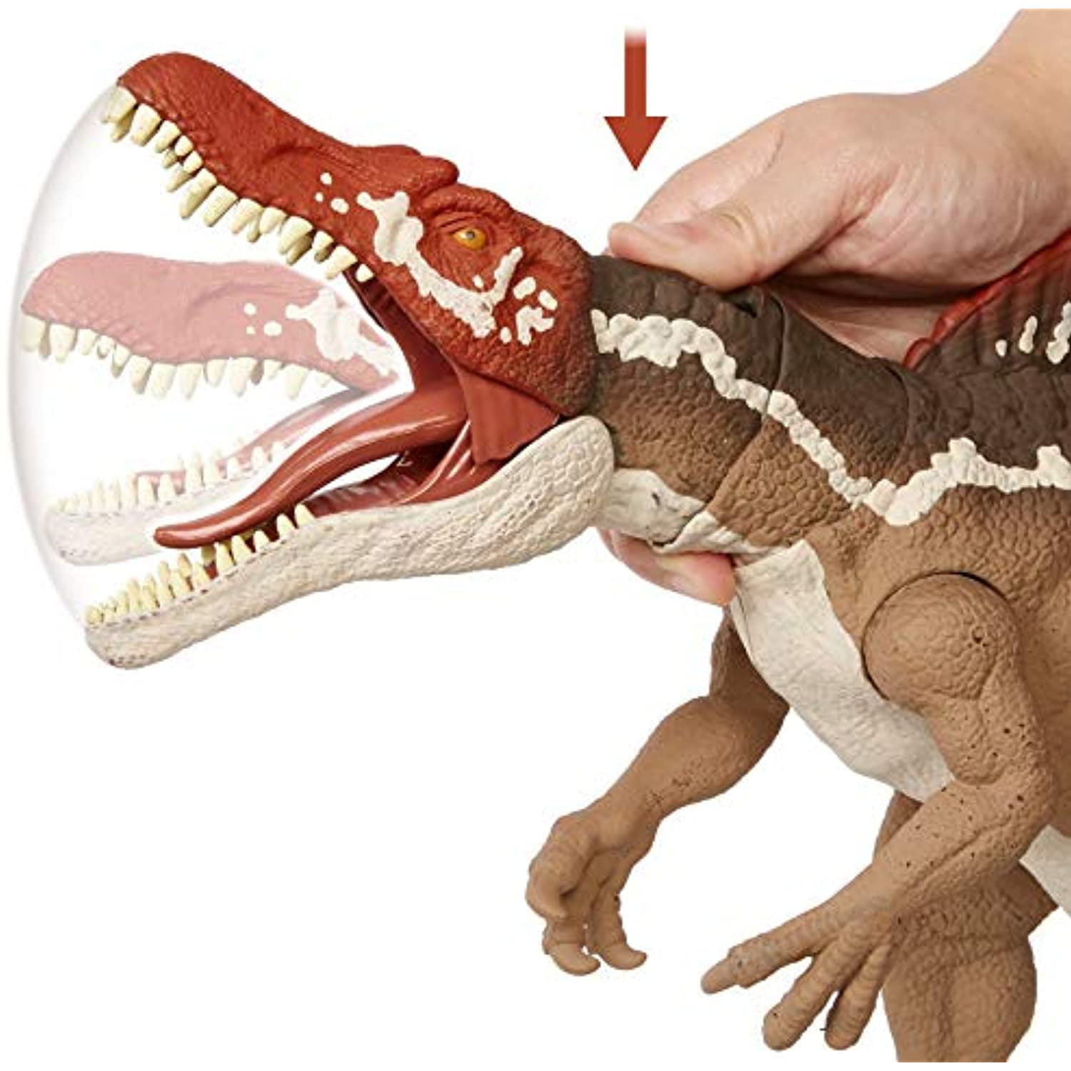 Mattel HCG54 Jurassic world Dinosaure Spinosaurus 50 cm Dino mâchoires  extrêmes