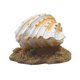 thumbnail image 5 of unbranded 1Ud Adorno Para De Peces Con Concha Artificial Multicolor Y Material, 5 of 8