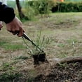 thumbnail image 5 of Herramienta de eliminación de malezas, 2023 Nuevas herramientas de deshierbe de jardín Herramienta de deshierbe manual de acero al manganeso con mango, 4 dientes Herramienta de deshierbe manual d, 5 of 5