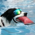 thumbnail image 3 of Opvise Dog Goggles with Adjustable Straps UV Protection Windproof Anti-Fog Dustproof Dog Sunglasses Outdoor Riding Driving Puppy Glasses for Small to Medium Breed Dog Silver, 3 of 8