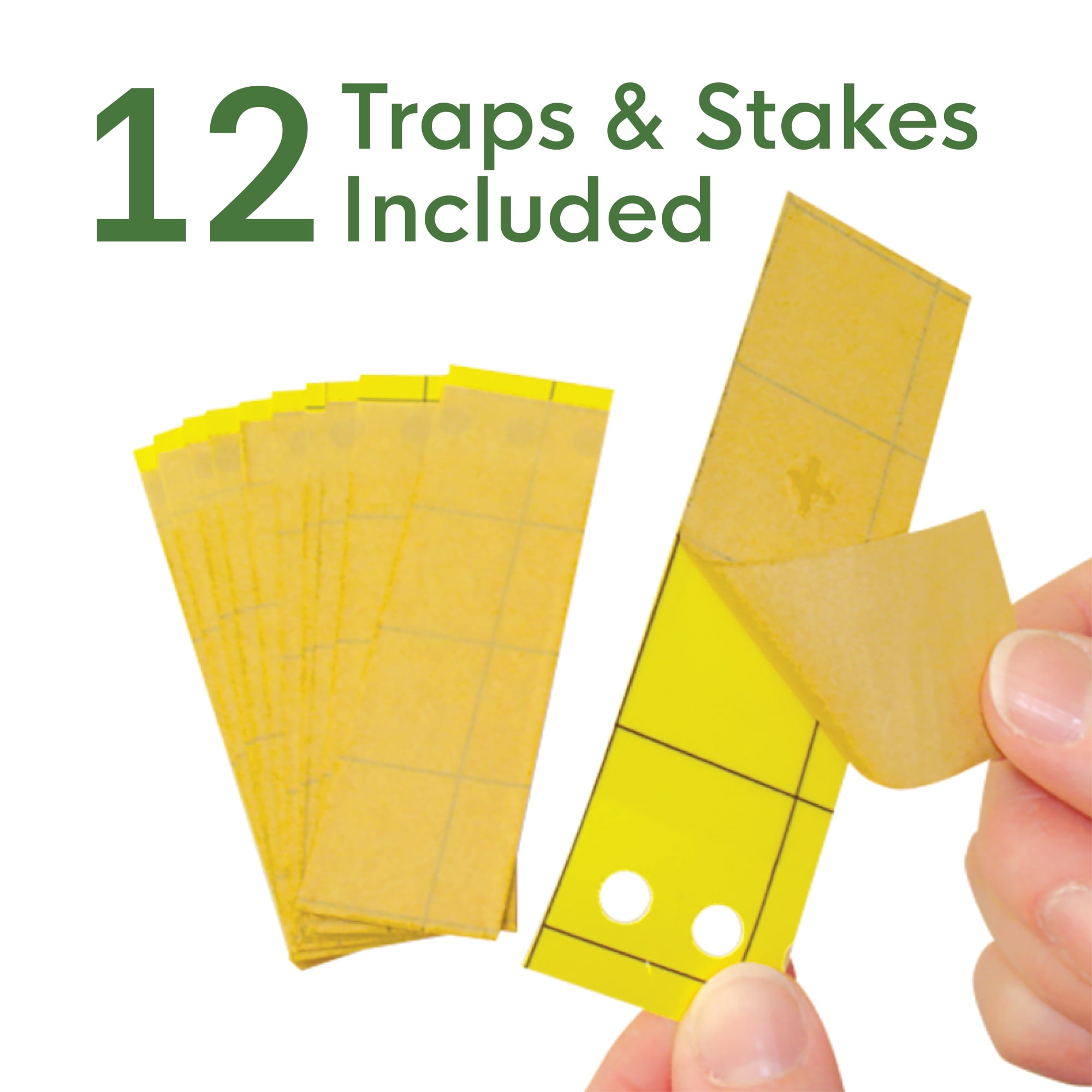 Enoz Gnat Styx (6 Pack) - Biocare Gnat Stix - Sticky Paper Trap - Pesticide Free - Lasts Up to 3 Months - Includes 72 Traps and Stakes | EB7300.6