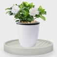 thumbnail image 4 of Raindrops Beige Indoor Planter Stand with Wheels, 1 Set, 14x14x2 Inches, Garden Plant Holder for Home and Patio, 4 of 8