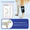 thumbnail image 4 of Orthèse de Jambe avant pour Chien avec Bandes de Compression, Soutien Carpien Respirant pour Jambe de Chien avec Bande Réfléchissante, Manchon d'Enveloppement de Jambe avant Canine pour Blessures, 4 of 7
