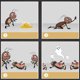 thumbnail image 5 of 10 Uds. Mata cucarachas, cebo efectivo para cucarachas, polvo para matar cucarachas, 5 of 6
