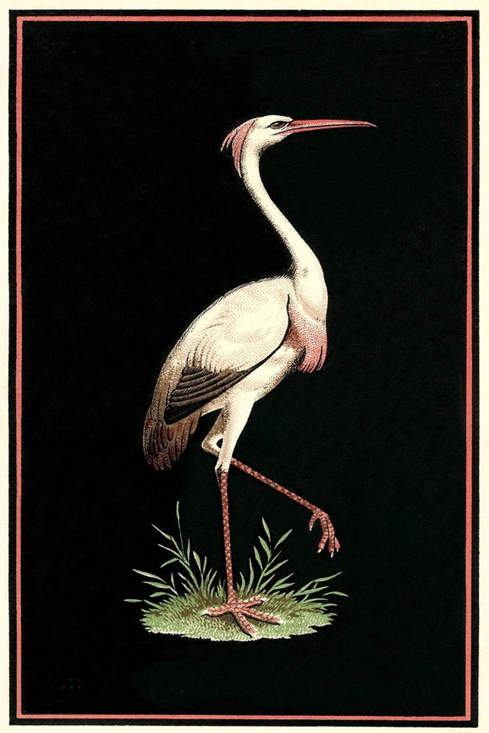 Art.com Crane on Black Background Art Print, 24" x 36"