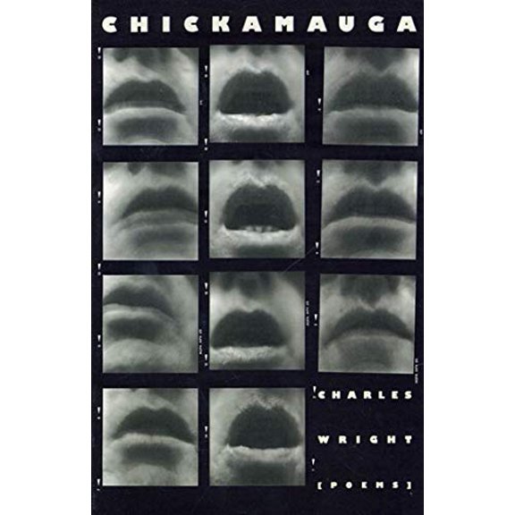 Pre-Owned Chickamauga (Paperback) 0374524815 9780374524814
