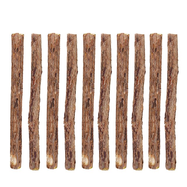 10 Uds. Palos de plata naturales para gatos, dientes de hierba gatera, Molar, madera para masticar, Polygonum