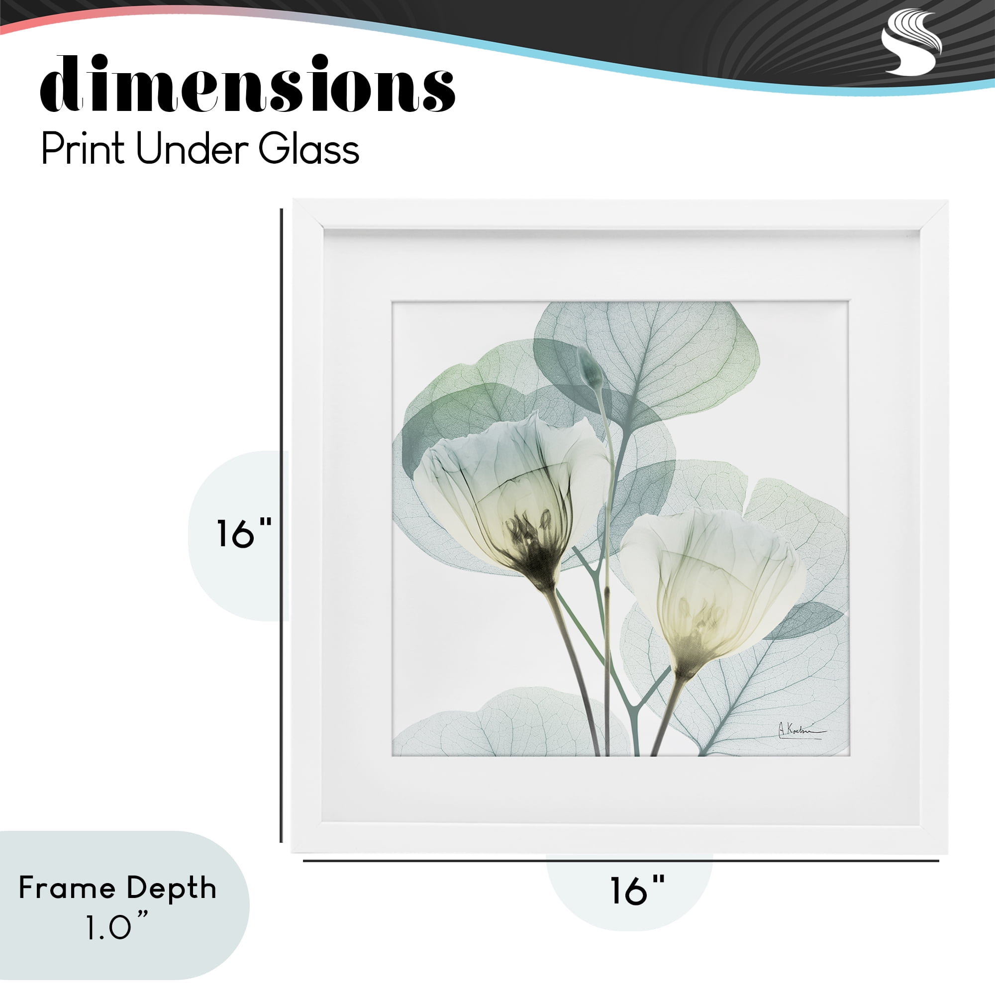 Stupell Industries Divine Fate Flower Leaves White Framed Print Under Glass, design by Albert Koetsier