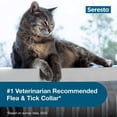 thumbnail image 3 of (2 pack) Vet-Recommended 8-Month FleaTick Prevention Collar for Cats, 3 of 5