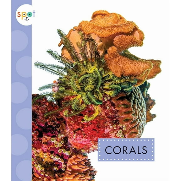 Spot Ocean Animals: Corals (Paperback)