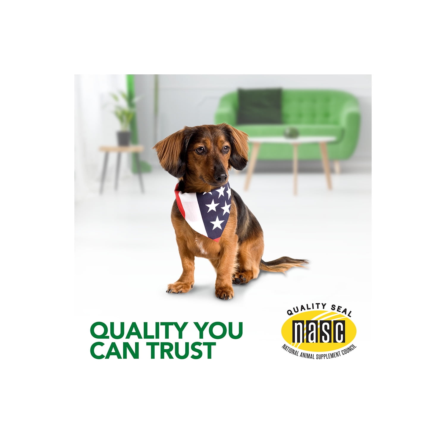 Aches and pains dog supplement hotsell