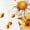 White, variant on Women's Watercolor Honey Bee Floral Graphic Short Sleeve T-Shirt Bumblebee Sunflower Daisy Cotton Crewneck Top