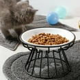 thumbnail image 5 of Sunjoy Tech Pet Bowl Ceramic Raised Iron Stand Protect Cervical Vertebra Cats Dogs Water Food Feeding Dish Pet Supplies - Golden Iron Stand, 5 of 8