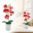 thumbnail image 2 of Artificial Orchid in Pot, Fake Phalaenopsis Orchid, Faux Butterfly Orchid Plant, Silk Flower Arrangement, Potted Bonsai Plant for Home Office Indoor Decoration, Table Centerpiece Ornament, 2 of 7
