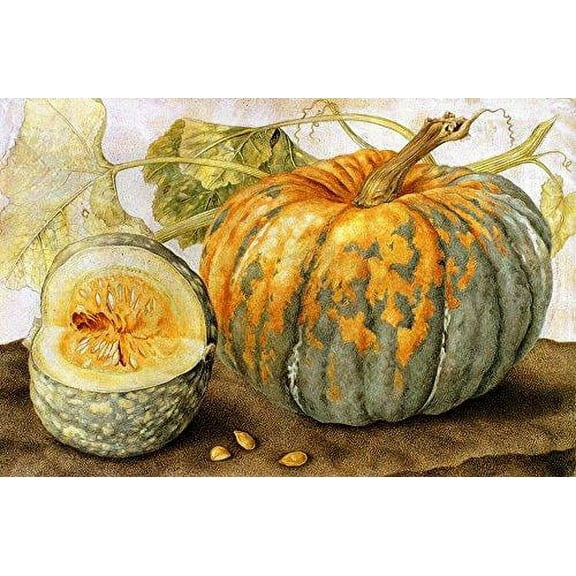 Squash Hand Painted by Giovanna Garzon, 1600's Picture on Stretched Canvas, Wall Art Decor Ready to Hang!.