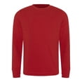 thumbnail image 1 of Ecologie - Jersey Banff para chico hombre (Rojo), 1 of 2