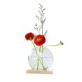 thumbnail image 1 of EIMELI Nordic Mini Creative Glass Clear Flower Vase Plant Bottle Hydroponic Terrarium Container Holder with Wood Stand Table Embellishment for Home Living Room Office Garden(Without Plant, 1 of 11