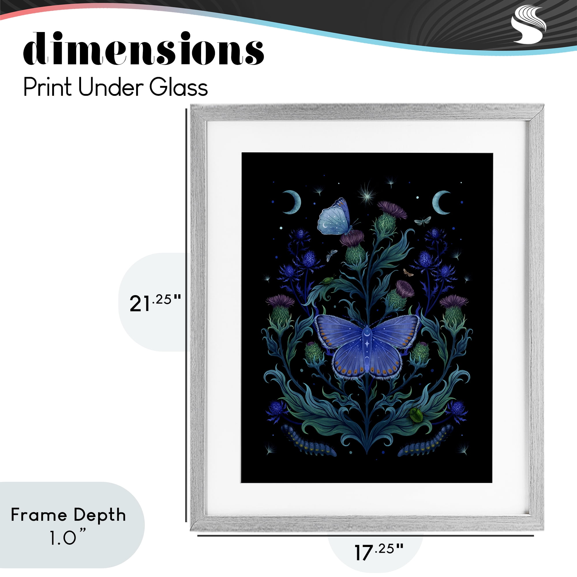 Stupell Industries Thistles & Insects at Night Gray Framed Print Under Glass, design by Episodic Drawings