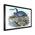 thumbnail image 2 of Designart 'Ancient Australian Birds II' Traditional Framed Art Print, 2 of 4