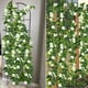 thumbnail image 5 of Viñedos artificiales Silk Morning Glory de 15 pies para exteriores, x2, 5 of 7
