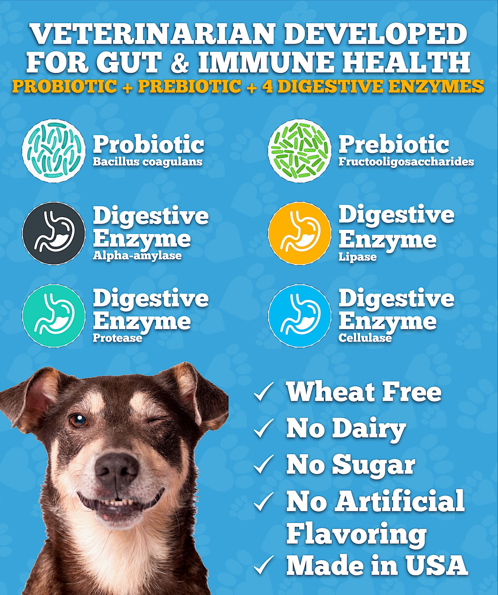 Well Loved Probiotics for Dogs Digestive Health Soft Chews, Chicken Flavor, 120 Count