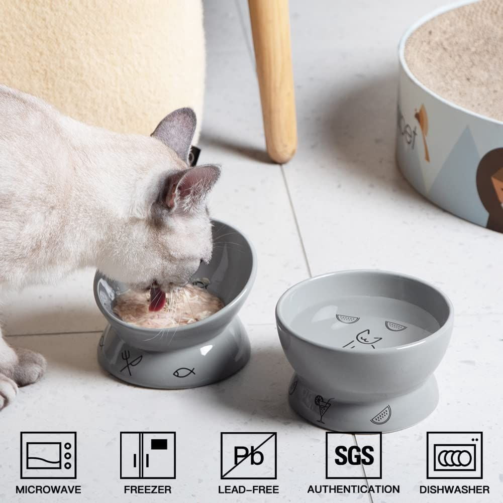 SWEEJAR Raised Cat Bowls Set, Tilted Food Bowl and Deep Water Bowl, Ceramic Pet Bowl Collection for Cats and Small Dogs, Set of 2 (Gray)