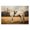 White Mare Saddle Equestrian, variant on Stupell Industries French Country Chocolate Stag Saddled in Pasture Canvas Art, 24 x 16, by Petals Prints Design