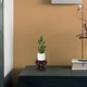 thumbnail image 2 of GOOHOCHY Expositor decorativo de plantas para el hogar, pedestal de madera para macetas, taburete de suelo para macetas., 2 of 8