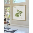 thumbnail image 6 of Marmont Hill "Leaf Study II" Framed Painting Print, 6 of 6