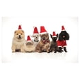 thumbnail image 4 of Dog and Cat Ceramic Toothbrush Holder, Team of 6 Pets Wearing Santa Hats Panting, Decorative Versatile Countertop for Bathroom, 4.5" X 2.7", White Multicolor, 4 of 4