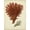 Unframed, variant on Art.com Antique Red Coral V Art Print by Vision Studio, 12" x 16"