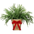 thumbnail image 6 of Dalrosia Christmas Norfolk Pine Wreath Christmas Wreaths for Front Door Hanging Basket Christmas Kitchen Cabinet Wreaths with Red Ribbon Farmhouse Rustic Xmas Pine Wreath for Window Wall, 6 of 6