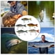 thumbnail image 4 of Señuelos de pesca con anzuelo, 5 piezas, 10 cm, señuelos de pesca multiduros, cebo de pesca True Excellence, 4 of 10