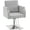 Grey, variant on BarberPub Classic Salon for Hair Stylist,Hydraulic Barber Styling Chair, White 8818